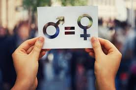 लैंगिक असमानता gender inequality