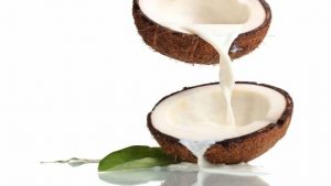 नारियल का दूध इस्तेमाल करने से मिलता है बड़ा फायदा