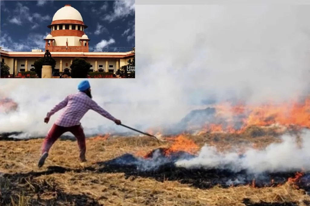 बिहार का नाम लेकर SC ने कहा- जो किसान पराली जला रहे उन्हें MSP का लाभ मत दो 