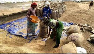 प्रतिबंध को किया दरकिनार: जरूरतमंद अफ्रीकी देशों को चावल निर्यात करेगा भारत