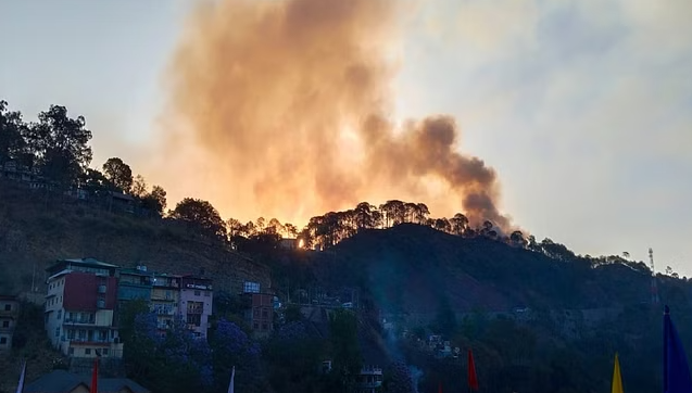 हिमाचल में जंगलों की आग ने पिछले साल का तोड़ा रिकॉर्ड, अब तक 712 घटनाएं दर्ज