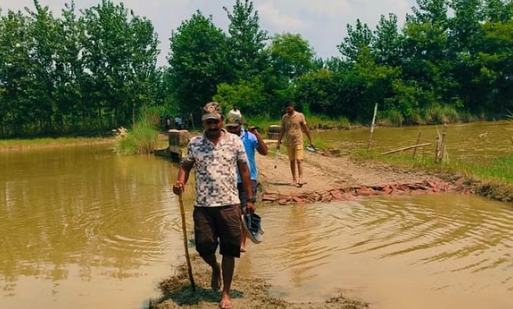 बहराइच में बढ़ रही दहशत, अब दिन में भी धमकने लगे भेड़िये, वन टीम ने तेज की कांबिंग