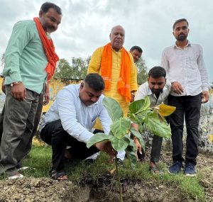 अयोध्या न्यास संस्था द्वारा विद्यालयों में रोपित किया गया पौधारोपण