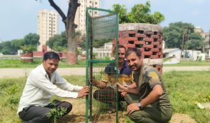 पौधरोपण के साथ उनका संरक्षण भी जरूरी- रणजीत यादव