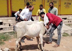 सोशल मीडिया में जहां दुनिया नग्नता फैला रही है वहीं समाज की सेवा करके अर्चना ने बनाई खुद की अलग पहचान 